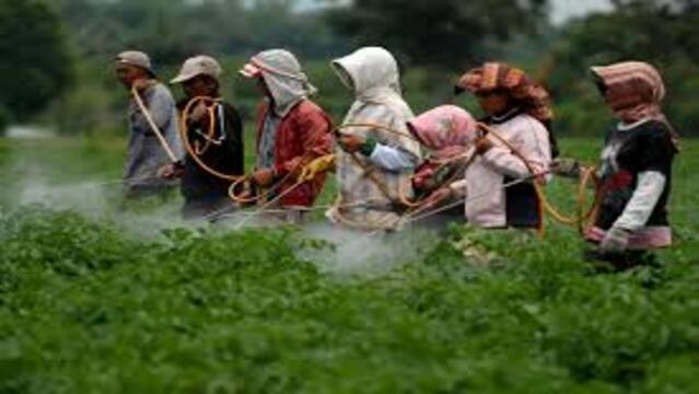 Teknologi Biopestisida Solusi Ramah Lingkungan