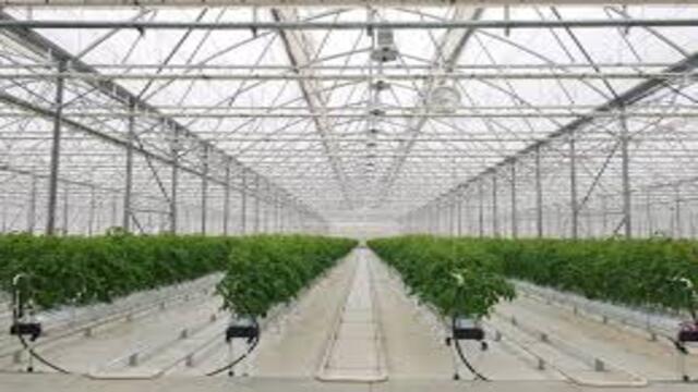 Greenhouse Pintar Solusi Modern