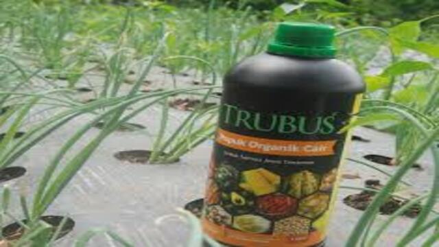 Pupuk Organik Cair Berbasis Teknologi