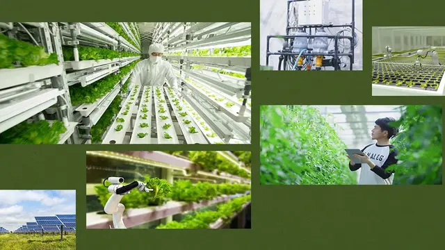 Teknologi 5G dalam Pertanian